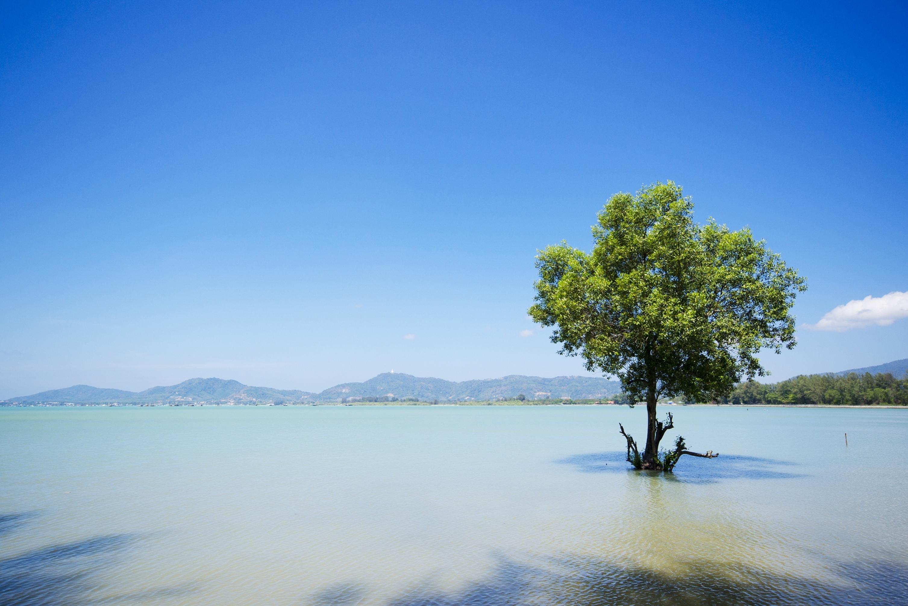 The Mangrove By Blu Monkey Phuket - Sha Extra Plus Panwa Beach Zewnętrze zdjęcie